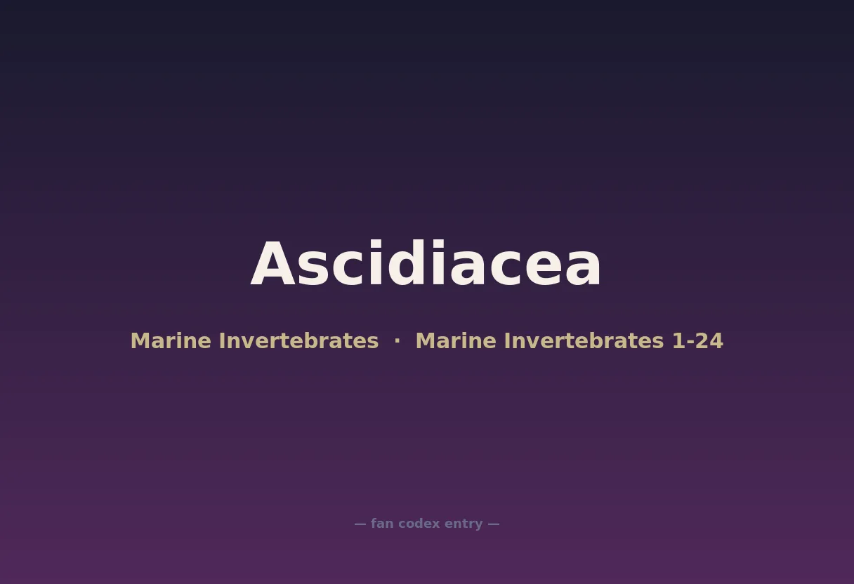 Ascidiacea