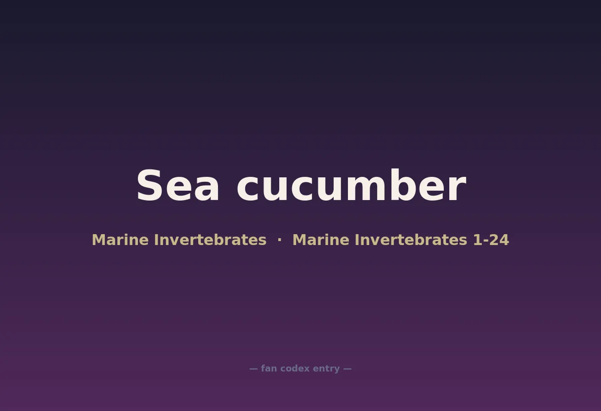 Sea cucumber