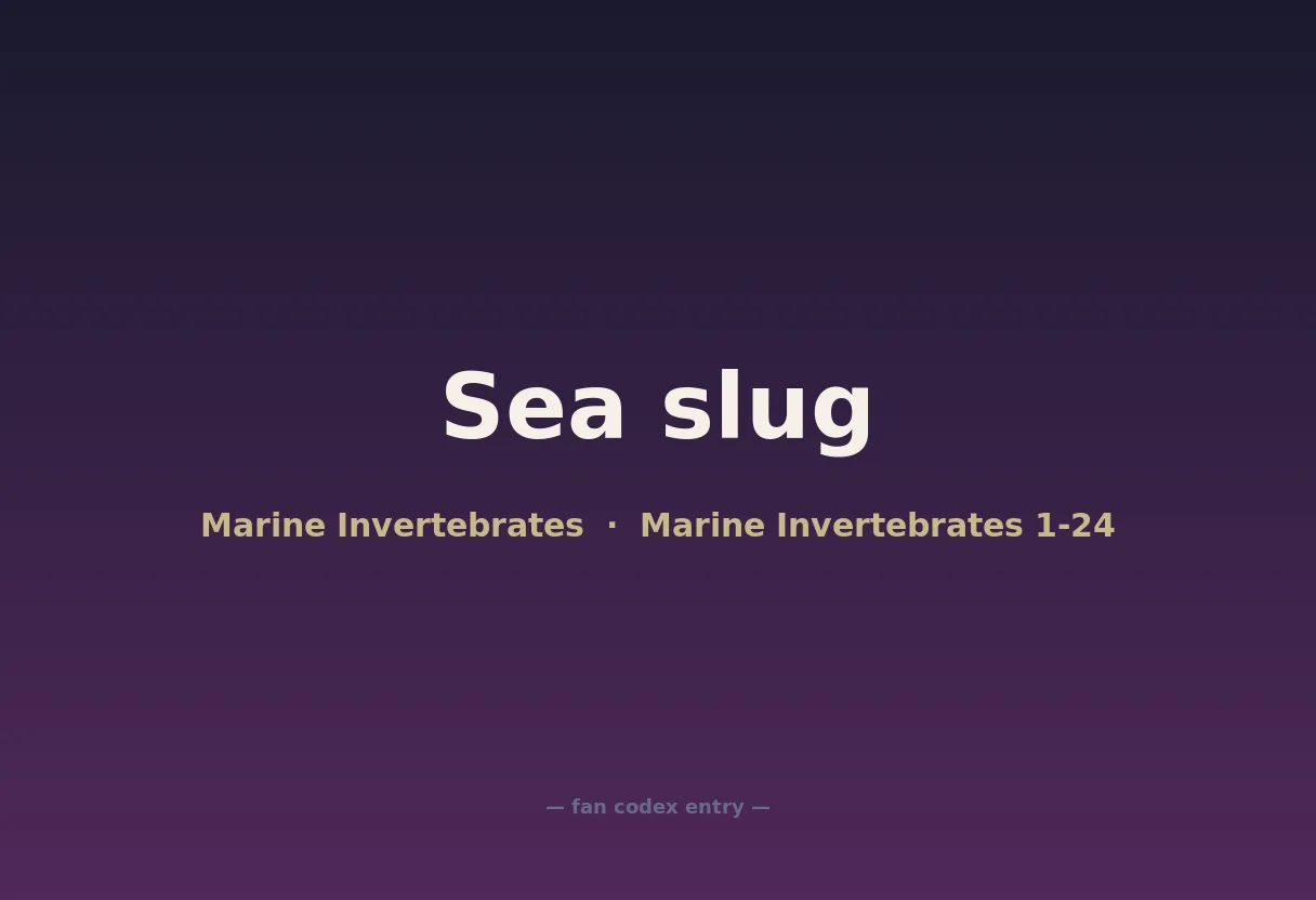 Sea slug
