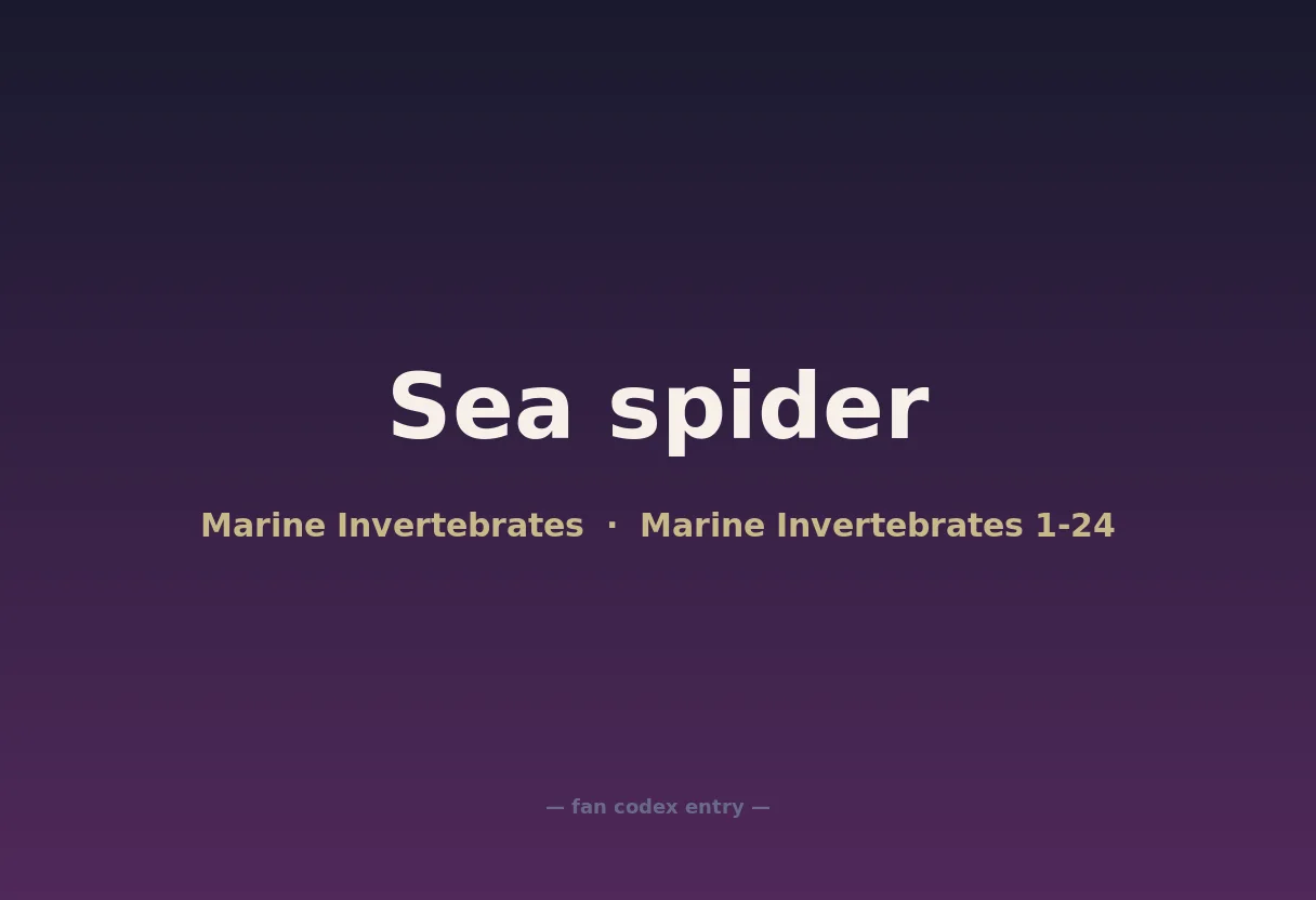 Sea spider