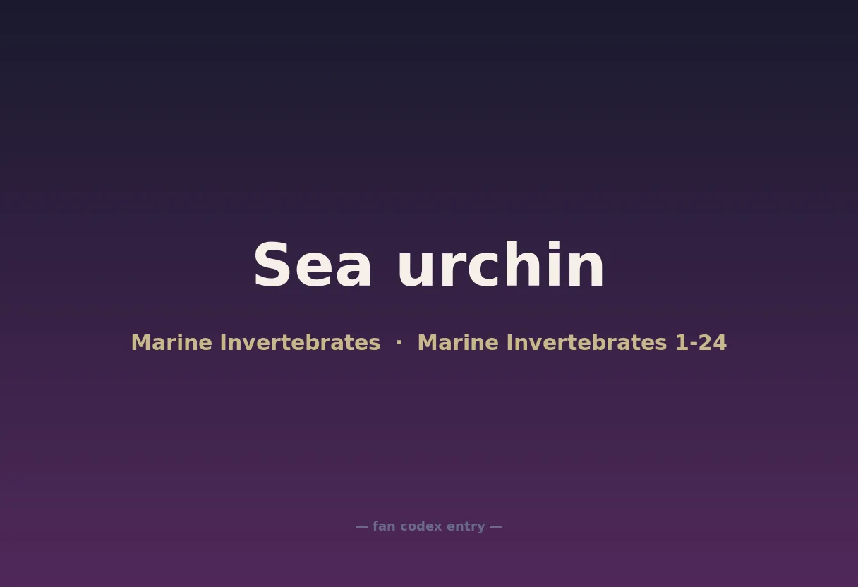 Sea urchin