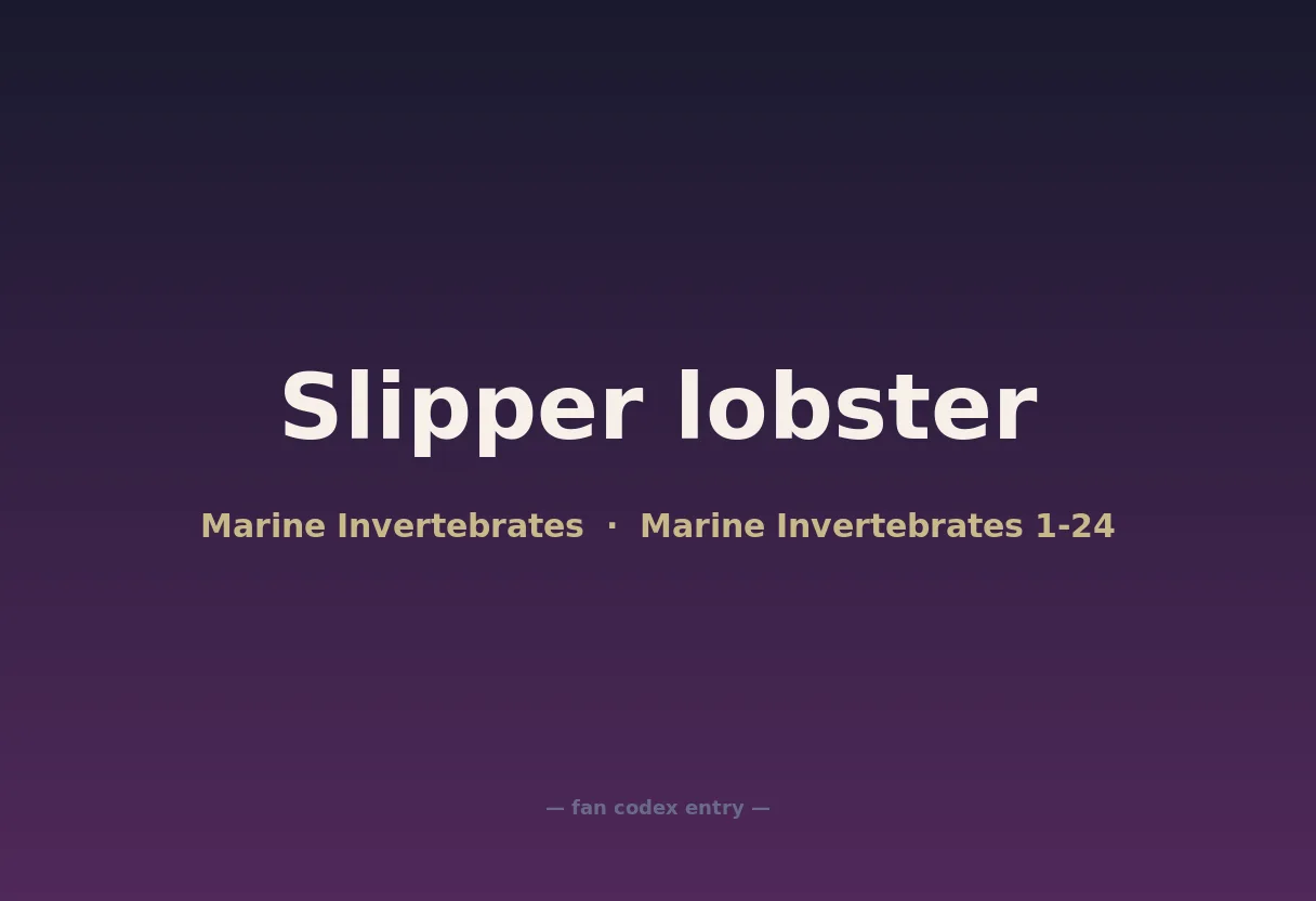 Slipper lobster
