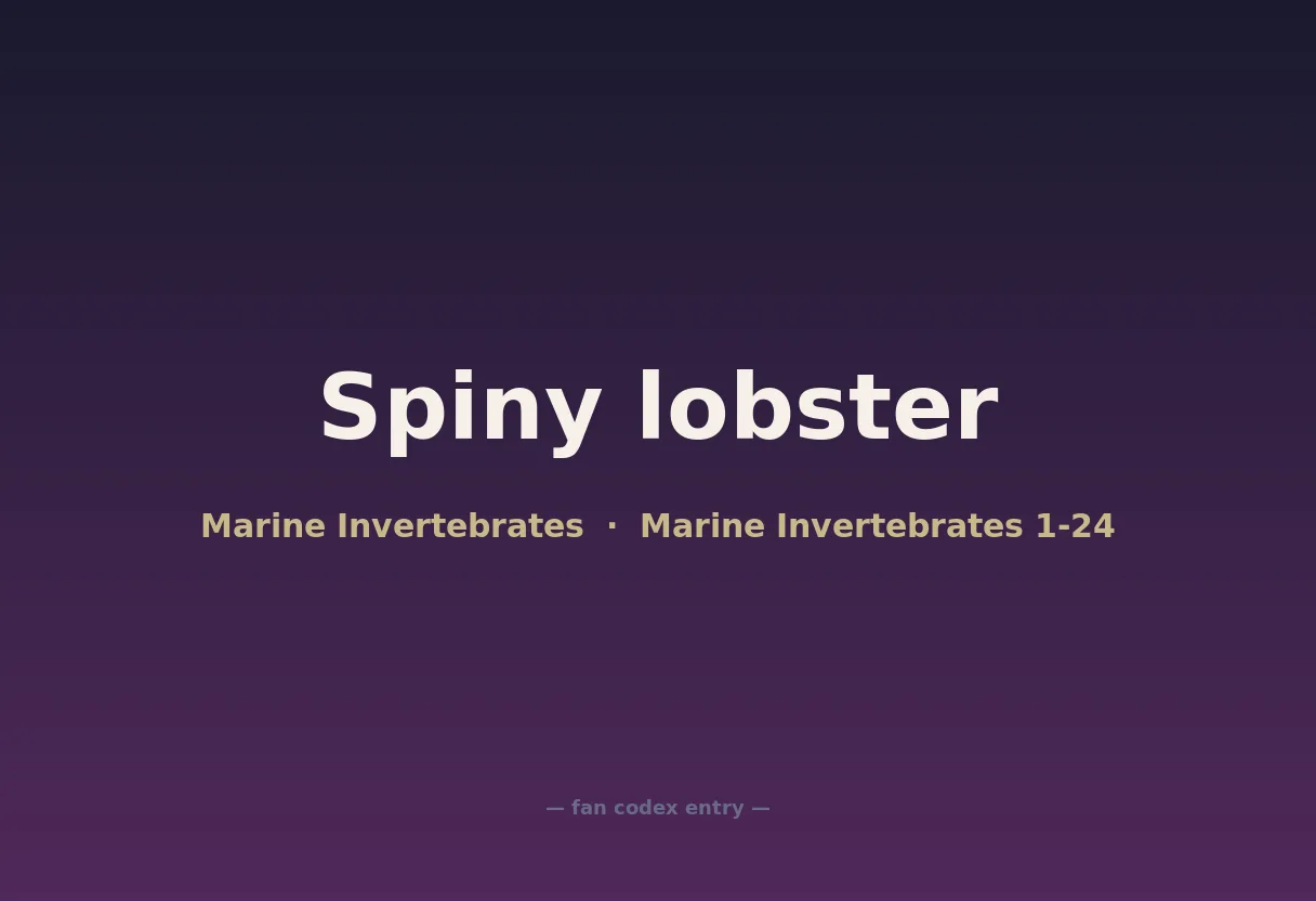 Spiny lobster