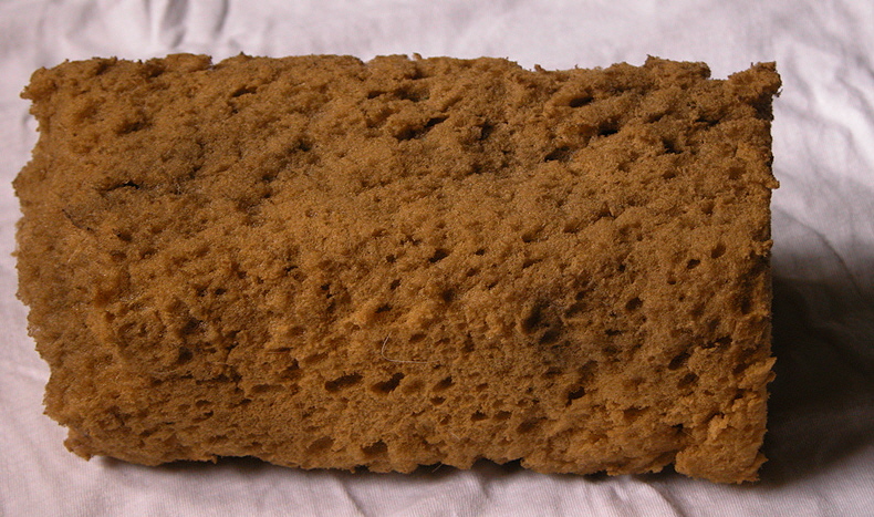 Sponge