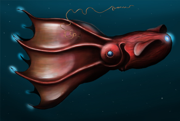 Vampire squid